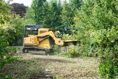 Ground Clearing in Salt Lake City, UT